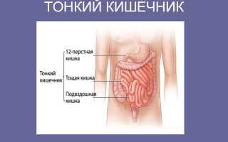 Синдром избыточного бактериального роста в тонкой кишке лечение