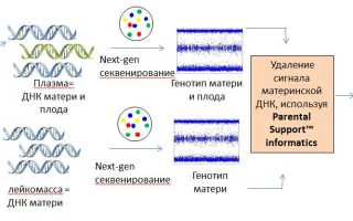 Неинвазивный тест на синдром дауна геномед