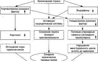 Синдром тазовых болей у женщин код мкб