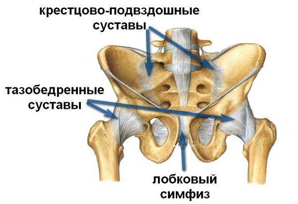 Движения при синдроме тазовой боли