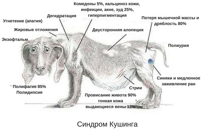 Симптомы болезни