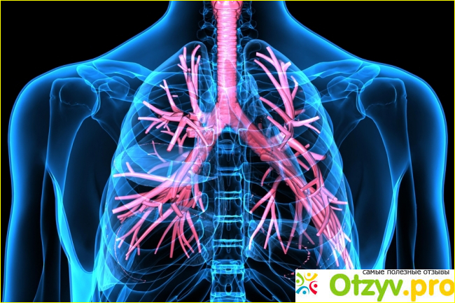 Заключение.