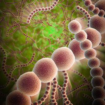 анализ крови при пневмонии у ребенка