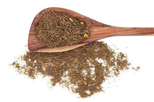 какой инкубационный период у вирусной пневмонии