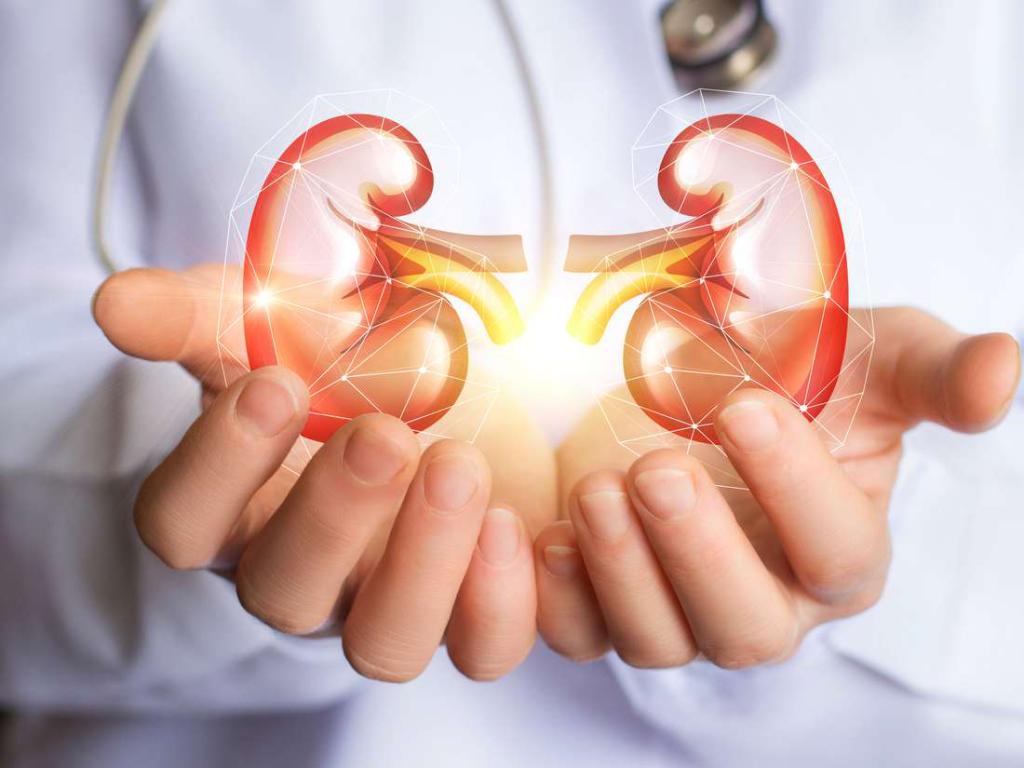 Лимфоузлы средостения легкого