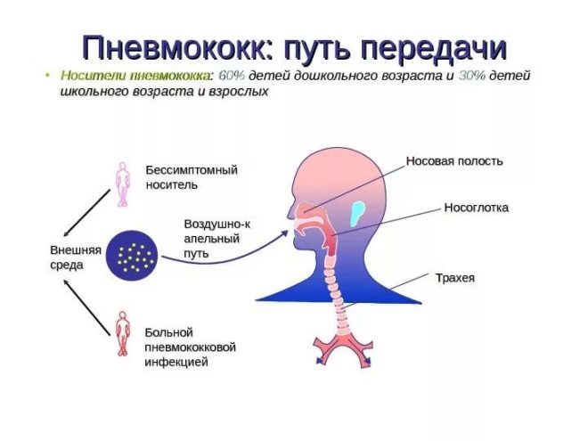 Прививка от пневмонии в детском саду