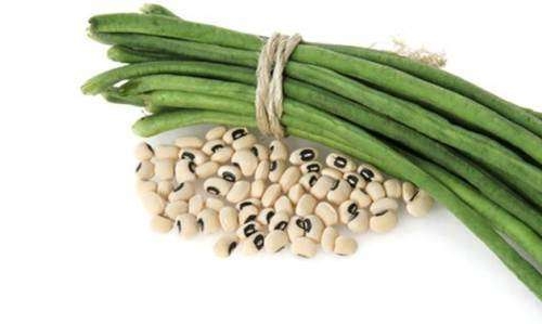 Употребление фасоли при подагре