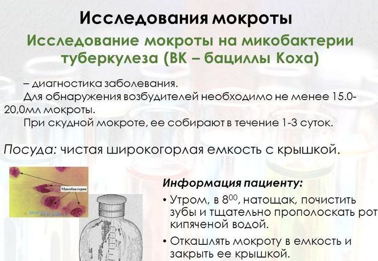 Исследование мокроты