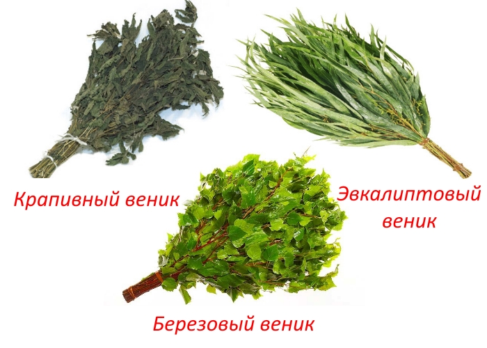 Полезные веники при подагре Полезные веники при подагре