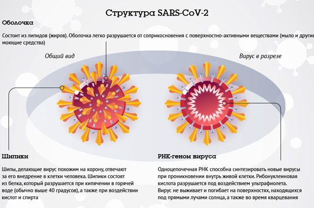 Пневмония 4 месяца без температуры