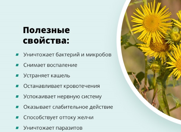 Фиброзные изменения в легких. Что это, причины, фото диффузные, локальные, после пневмонии, послеоперационные. Как лечить