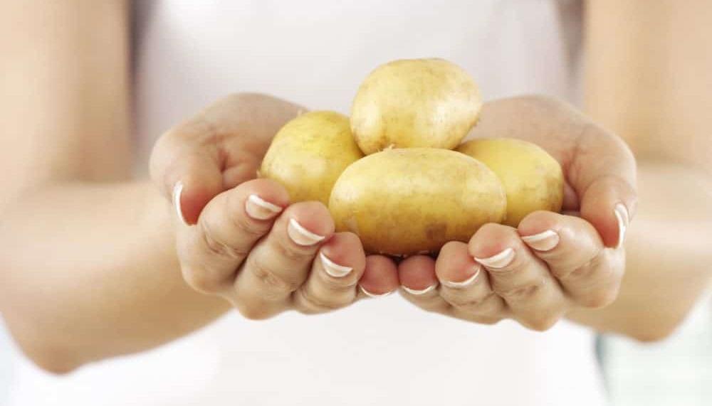 Картофель Картофель