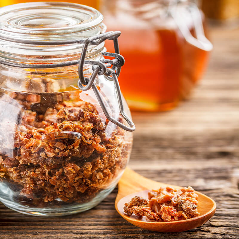 пчелиный прополис в банке