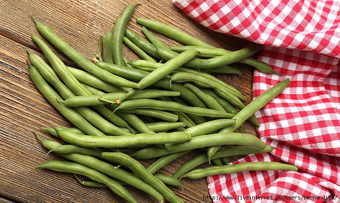 Стручковая фасоль при подагре